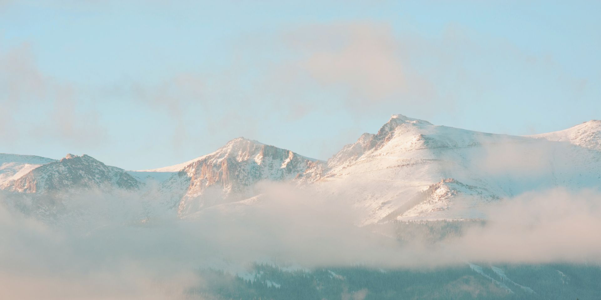 Banner Img